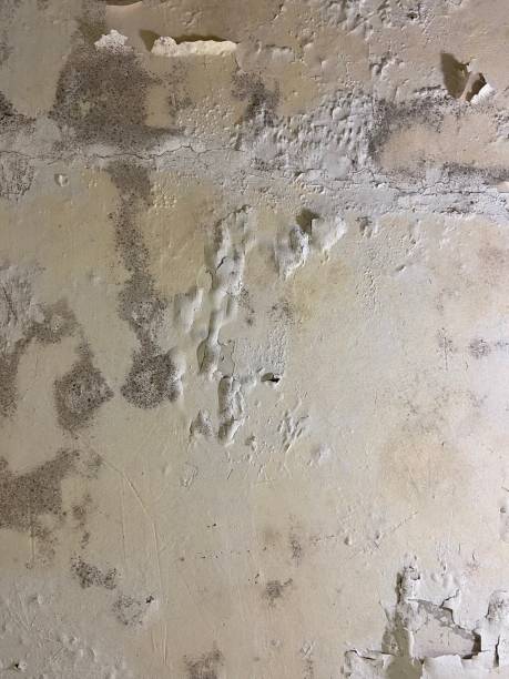 Water Damage Restoration in Worthington, IN